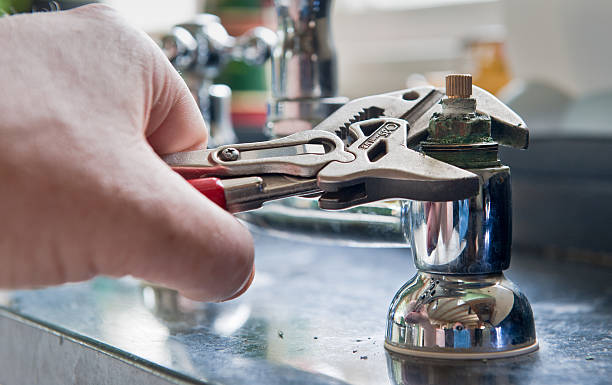 Best Professional water damage repair  in Home, WA