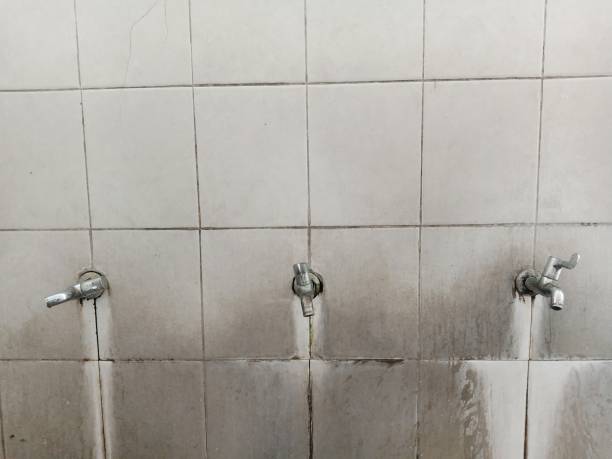 Best Water damage restoration near me  in Home, WA